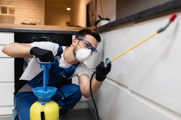 Best Pest Control Near Me  in Minster, OH