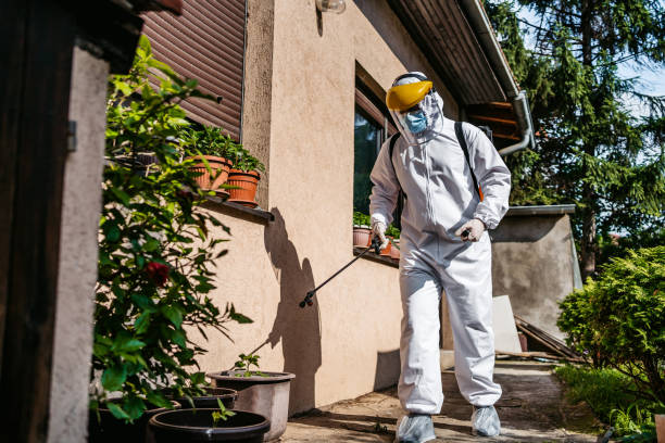 Professional Pest Control in Minster, OH