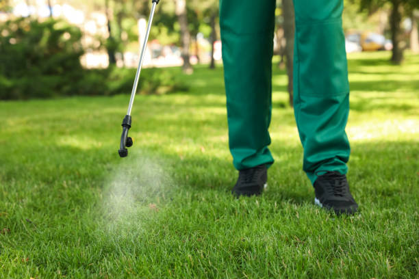 Best Termite Control Services  in Minster, OH