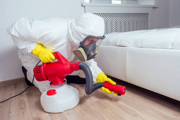 Best Pest Control Near Me in Minster, OH