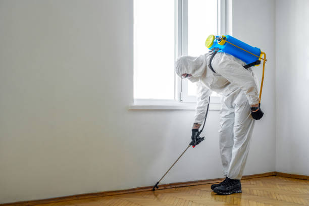 Best Wildlife Control Services  in Minster, OH