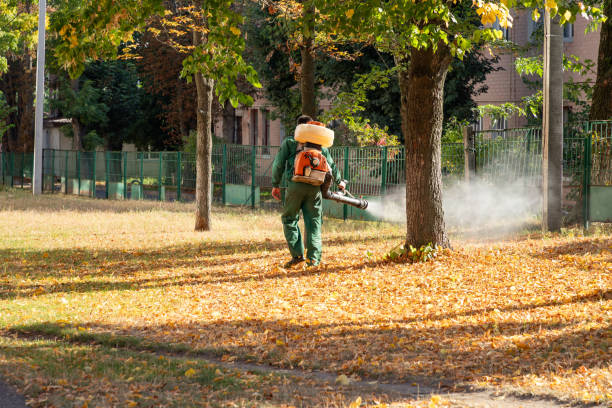 Best Termite Control Services  in Minster, OH